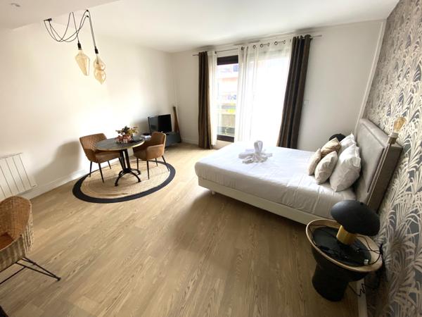 Grand t1 de 30 m2   Dernier étage   Hypercentre Annecy