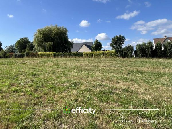 Terrain - 1545 m²
