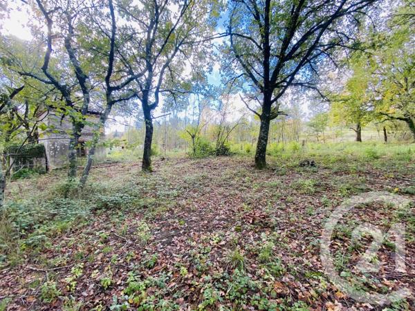 Terrain à vendre  5600 m2 GRAULHET - 81