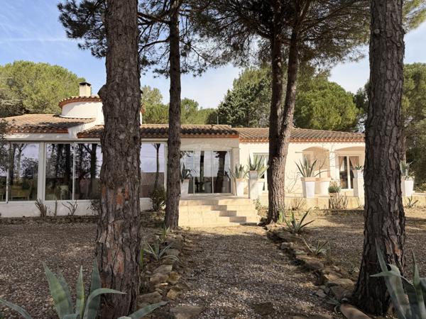 Carcassonne (11000) À proximité de Carcassonne - Villa d'architecte de plain-pied avec piscine et jardin paysager de 3687 m²