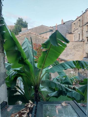 Appartement Bordeaux 3 pièce(s) 56.17 m2 - Saint Seurin-Fondaudège