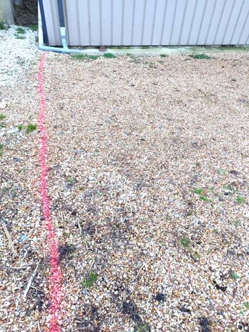 Local Commercial 1 pièce - 81 m² Exclusivité efficity