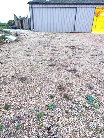 Local Commercial 1 pièce - 81 m² Exclusivité efficity