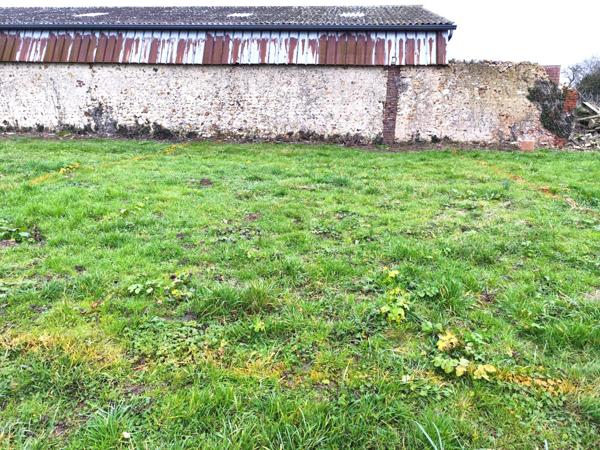 Local Commercial 1 pièce - 81 m² Exclusivité efficity