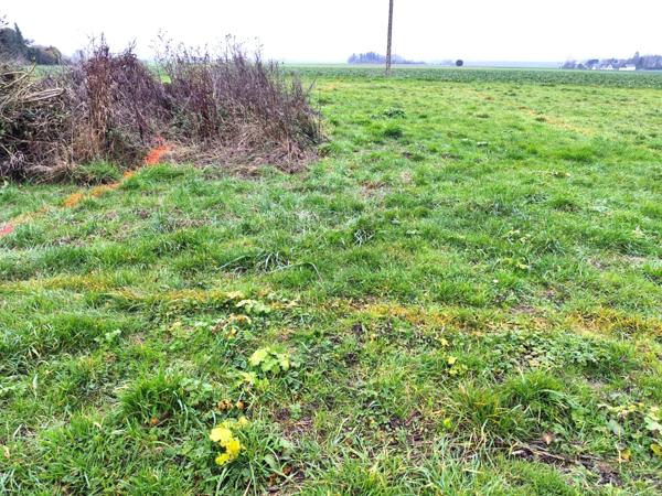 Local Commercial 1 pièce - 81 m² Exclusivité efficity