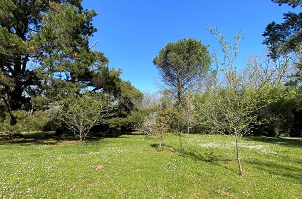 Belle maison d'architecte dans un beau parc boisé Montauban Le Fau