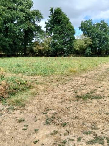 Rare : Terrain constructible de 1358 m² dans un cadre verdoyant - CHATEAUNEUF DU FAOU (29)