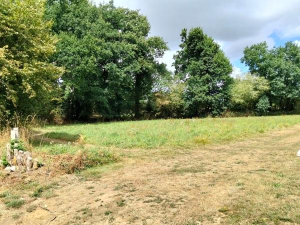 Rare : Terrain constructible de 1358 m² dans un cadre verdoyant - CHATEAUNEUF DU FAOU (29)