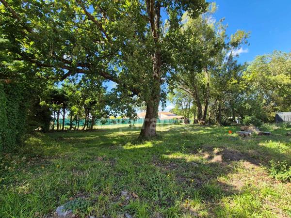 Terrain à vendre SAINT SULPICE DE ROYAN (17)