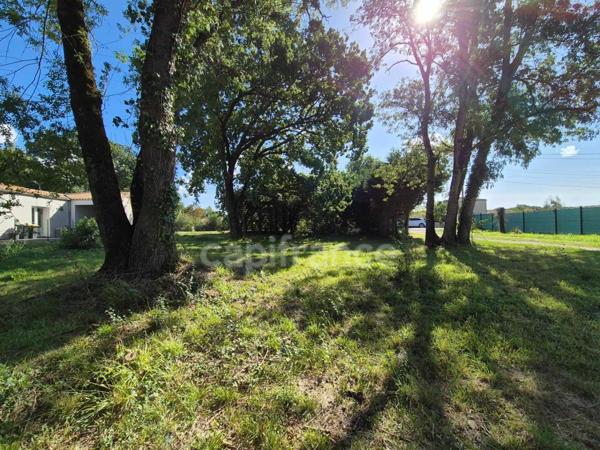 Terrain à vendre SAINT SULPICE DE ROYAN (17)