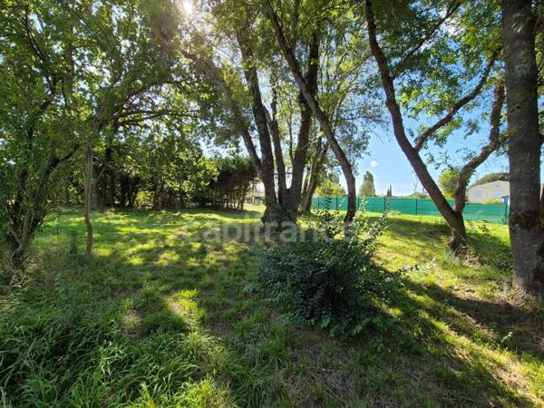 Terrain à vendre SAINT SULPICE DE ROYAN (17)