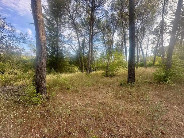 Terrain constructible 1041 m2
