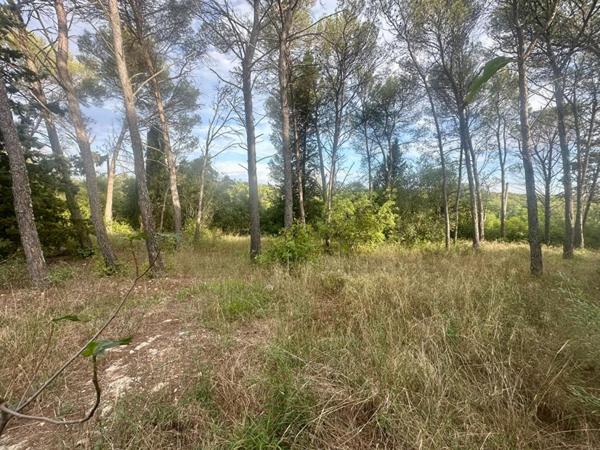 Terrain constructible 1041 m2