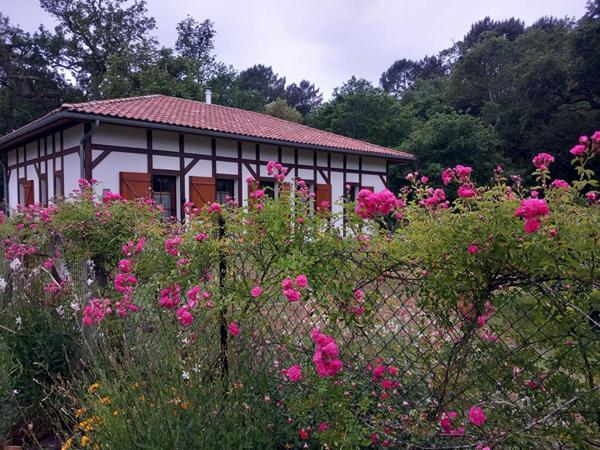 Maison Airial  Castets