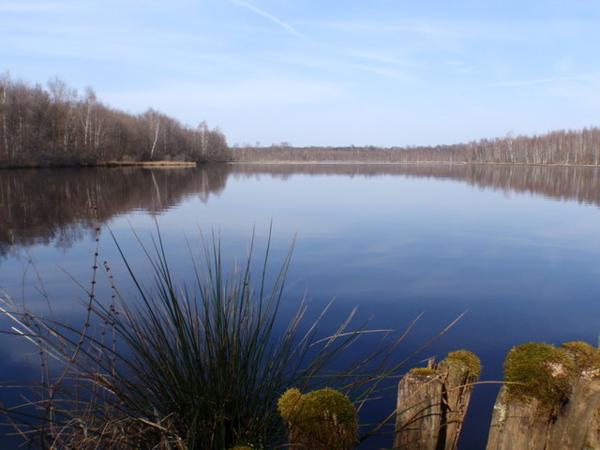 Etang de 7ha à Citers