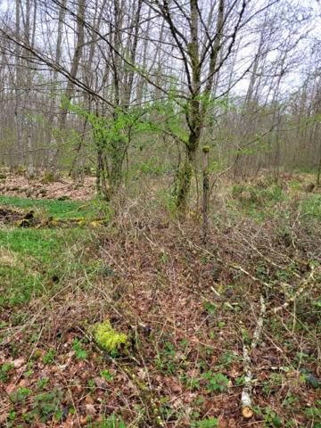 Etang de 7ha à Citers