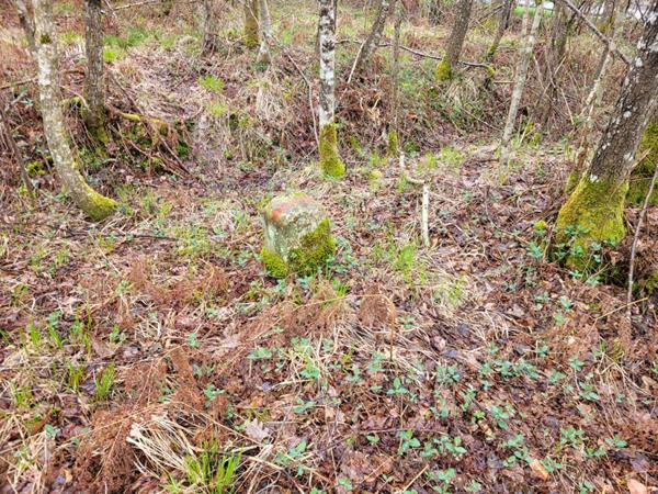 Etang de 7ha à Citers