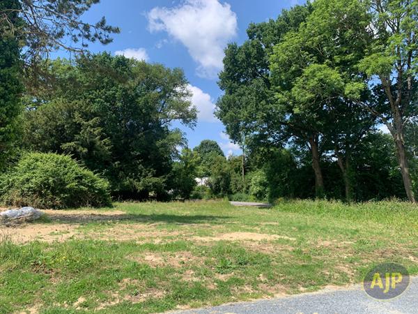 Vente terrain Sainte Gemmes D Andigne : 72 987 € - AJP Immobilier Segré