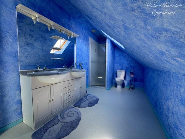 🏡 Maison de charme à la campagne avec dépendances et grand atelier – Proche Le Lude (72800)