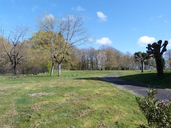 Vente Maison 7 pièces 195 m2 à Vierzon