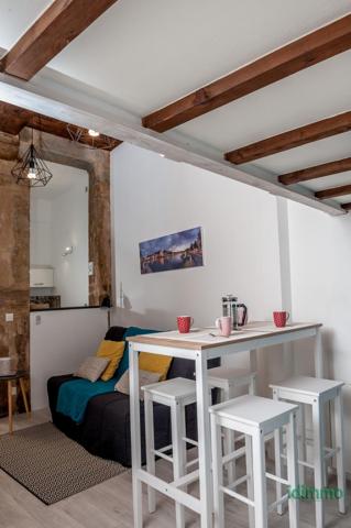 Grand Studio rue Terraille 60001 Lyon (69001)