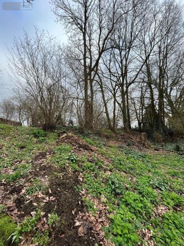 Terrain à Batir à vendre à Maen Roch en Ille-et-Vilaine (35460), ref : 153/65