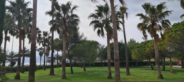 Appartement Front de mer Cannes Golfe de la Napoule / jardin