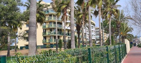 Appartement Front de mer Cannes Golfe de la Napoule / jardin