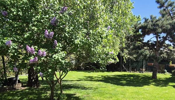 Belle Demeure ou Maison de Caractère de 161m² entièrement rénovée avec sa Cour de 100m² sécurisée, son Atelier, Bûcher, Dépendances, Terrasse avec pergola, Barbecue et Terrain clos, arboré de 514 m²