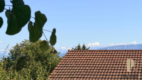 MAISON EN PIERRE 3 ou 4 chambres – 232 M² – JARDIN – SERGY 01630