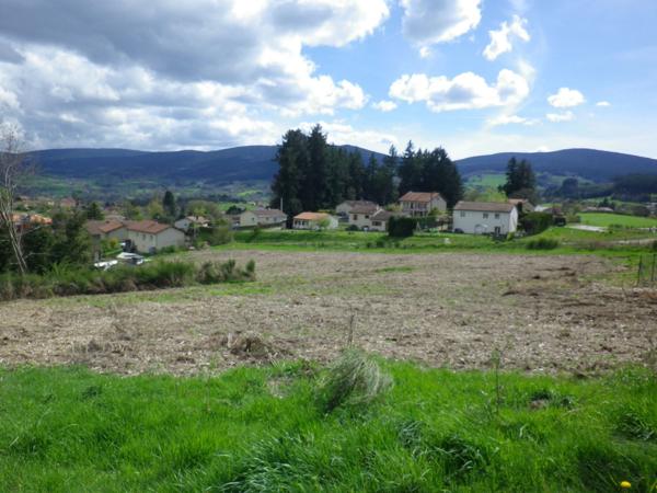 Terrain constructible viabilisé 1538m² 45000€ à vendre NOIRETABLE 42440