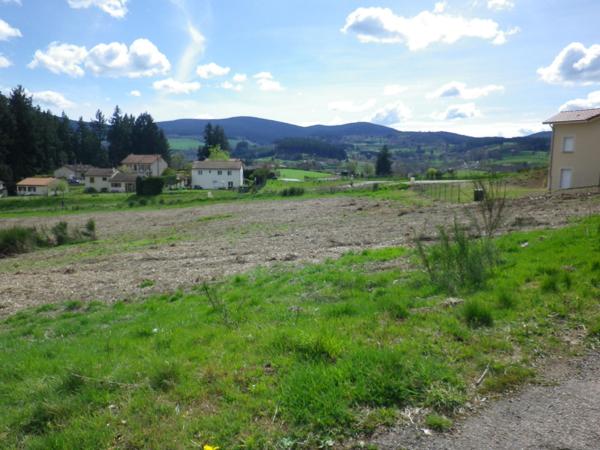 Terrain constructible viabilisé 1538m² 45000€ à vendre NOIRETABLE 42440