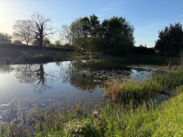 Jolie plan d'eau avec borne de recharge et puit artésien.