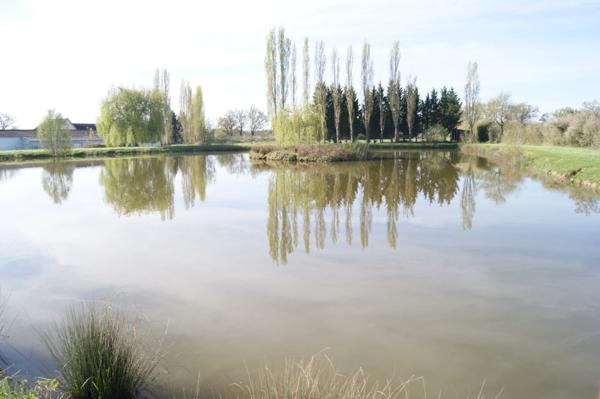 Etang de 4300 m2 à vendre DOMERAT (03) sur terrain de 18627 m2