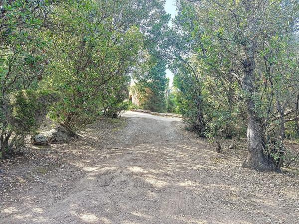 Maison à vendre  6 pièces - 160 m2 LECCI - 201