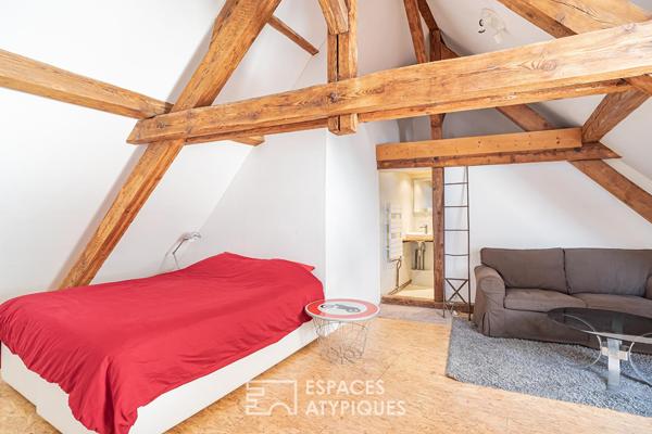 Duplex dans un ancien atelier avec terrasse quartier Neudorf