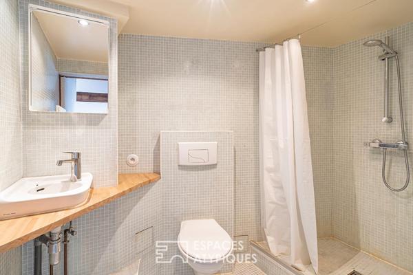 Duplex dans un ancien atelier avec terrasse quartier Neudorf
