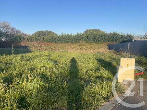 Terrain à vendre  1274 m2 LEGUEVIN - 31