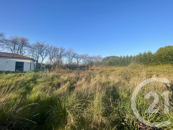 Terrain à vendre  1274 m2 LEGUEVIN - 31