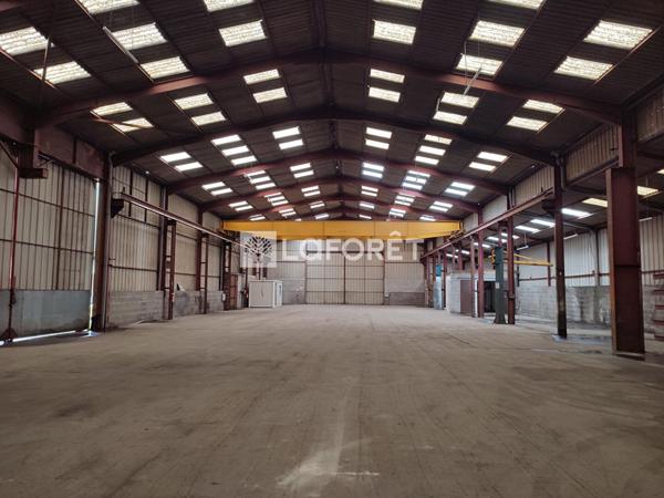 Location local commercial Saint-Nicolas-de-Redon - 1400 m² - 5 000 €/mois