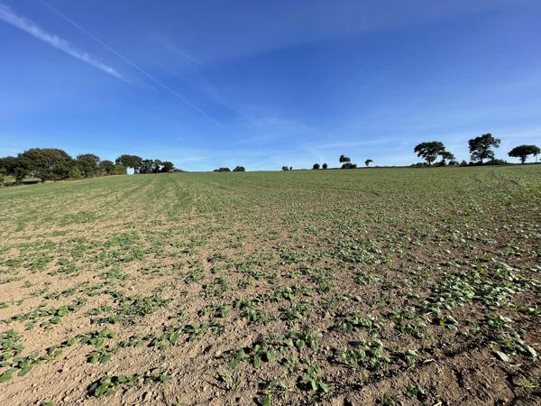 Maison à vendre à Le Mené (22330) - Côtes-d'Armor