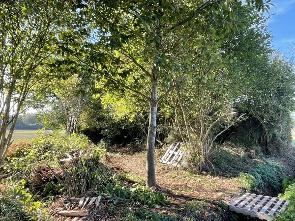 Maison à vendre à Le Mené (22330) - Côtes-d'Armor