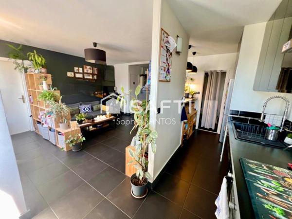 TRES LUMINEUX - EXPOSE PLEIN SUD - GRANDE CAVE