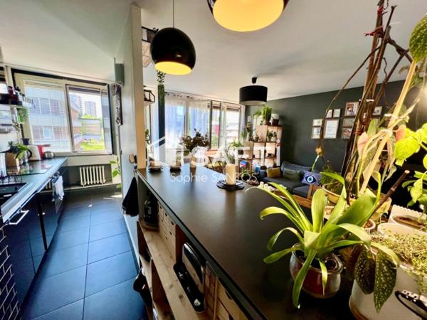 TRES LUMINEUX - EXPOSE PLEIN SUD - GRANDE CAVE