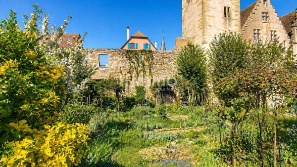Bien historique : restaurant, cave voutée, cour, jardin, appartements