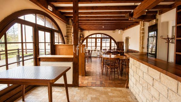 Bien historique : restaurant, cave voutée, cour, jardin, appartements