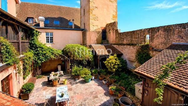 Bien historique : restaurant, cave voutée, cour, jardin, appartements
