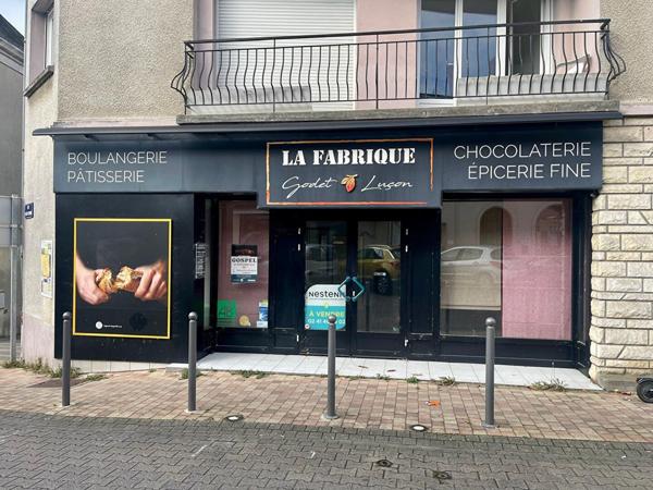Local commercial Doue En Anjou 395 m2 - D5732