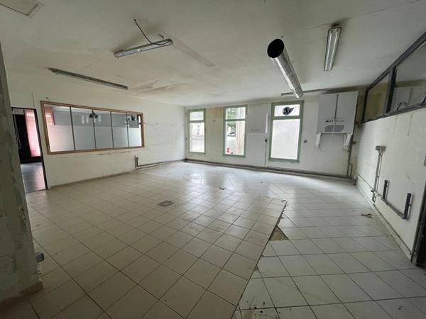 Local commercial Doue En Anjou 395 m2 - D5732