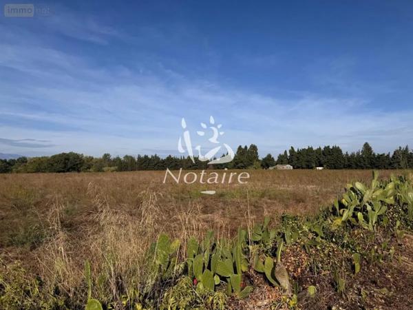 Achat - Terrain de loisirs, bois, étangs Elne 66200 69131 m 2